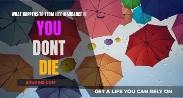 Term Life Insurance: What Happens If You Outlive It?