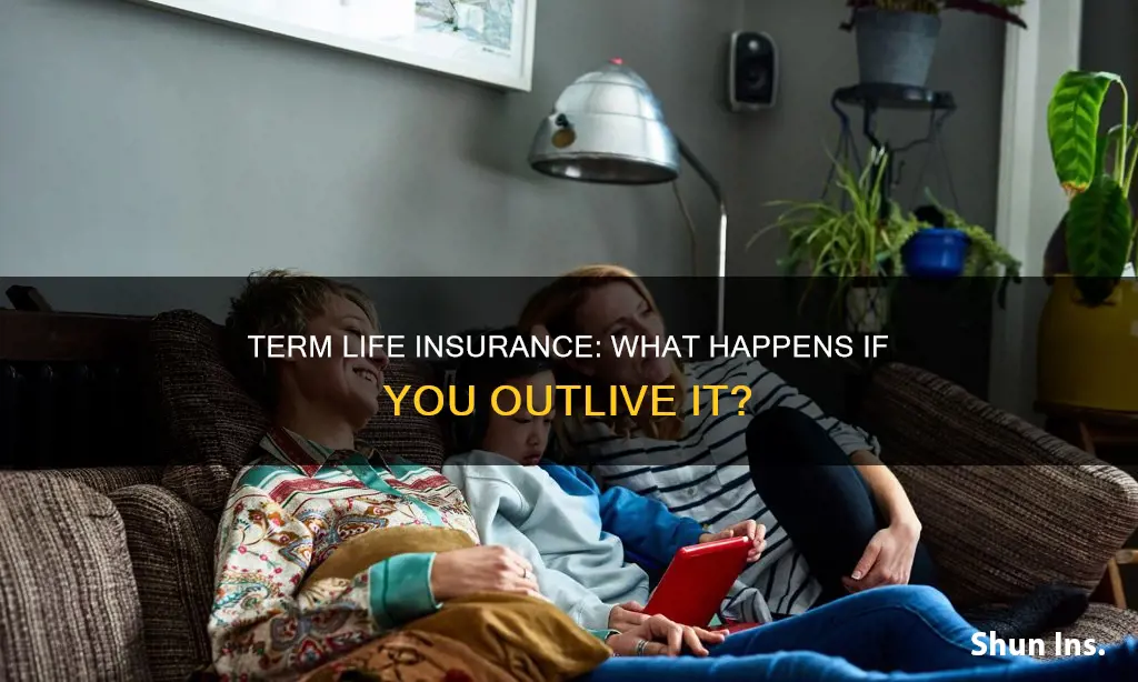 what happens to term life insurance if you dont die