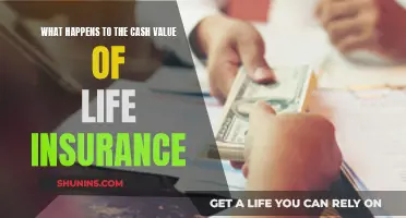 Life Insurance Cash Value: What's the Real Deal?