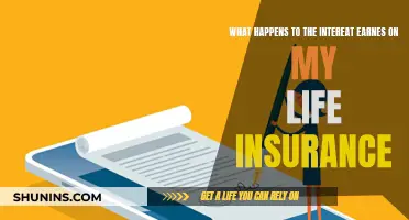 Life Insurance Interest Earnings: What's the Deal?