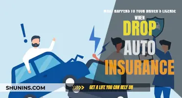 Driver's License and Auto Insurance: What's the Connection?