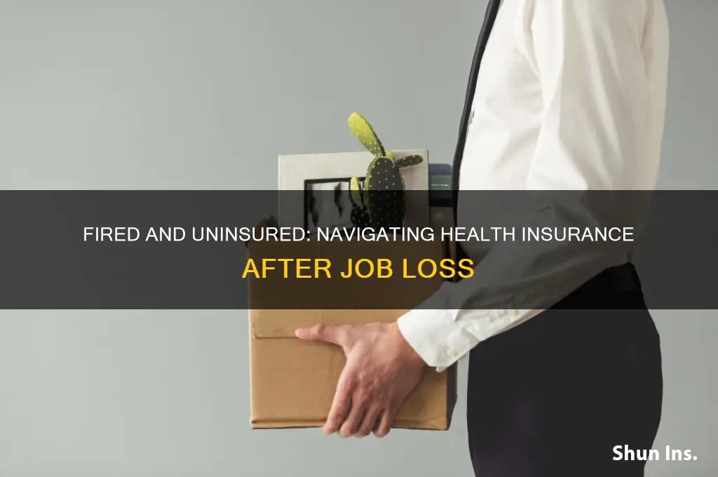 what happens to your health insurance when you are fired