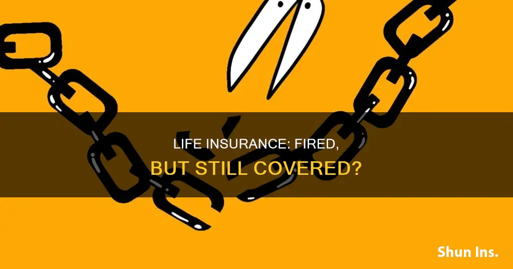 what happens to your life insurance when you get fired