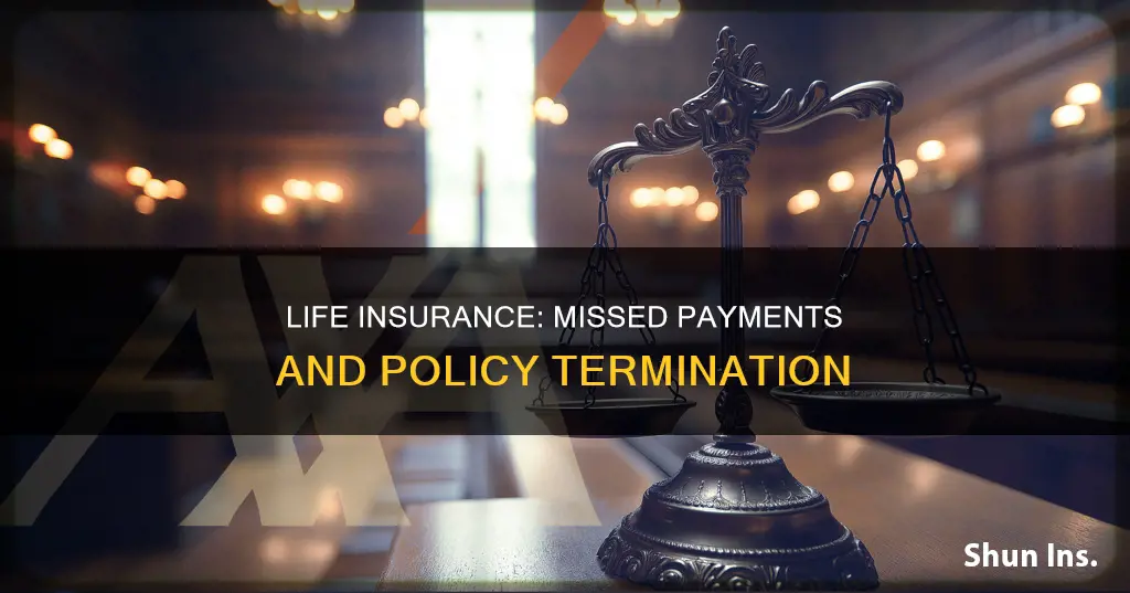 what happens to your life insurance when you stop payments