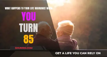 Life Insurance at 85: What You Need to Know