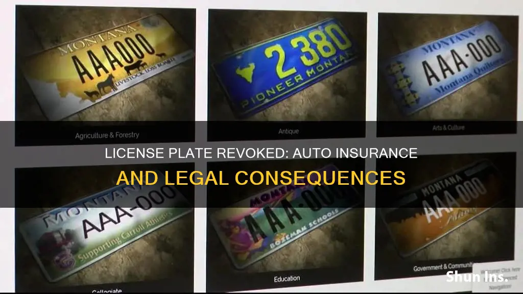 what happens when a auto insurance revokes license plate