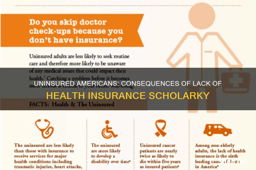 what happens when americans do not have health insurance scholarky