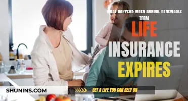 Term Life Insurance Expiry: What's Next?