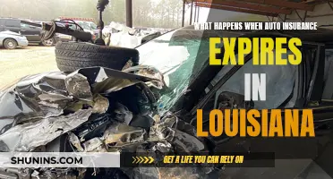 Auto Insurance Expiry: What Louisiana Drivers Need to Know