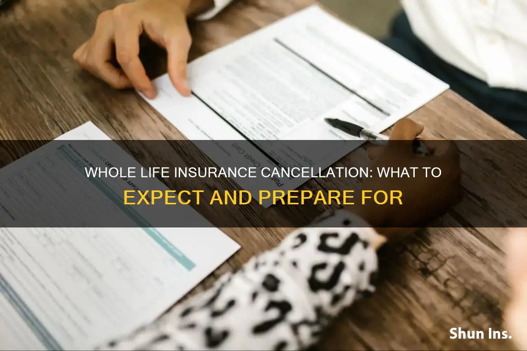 what happens when I cancel my whole life insurance