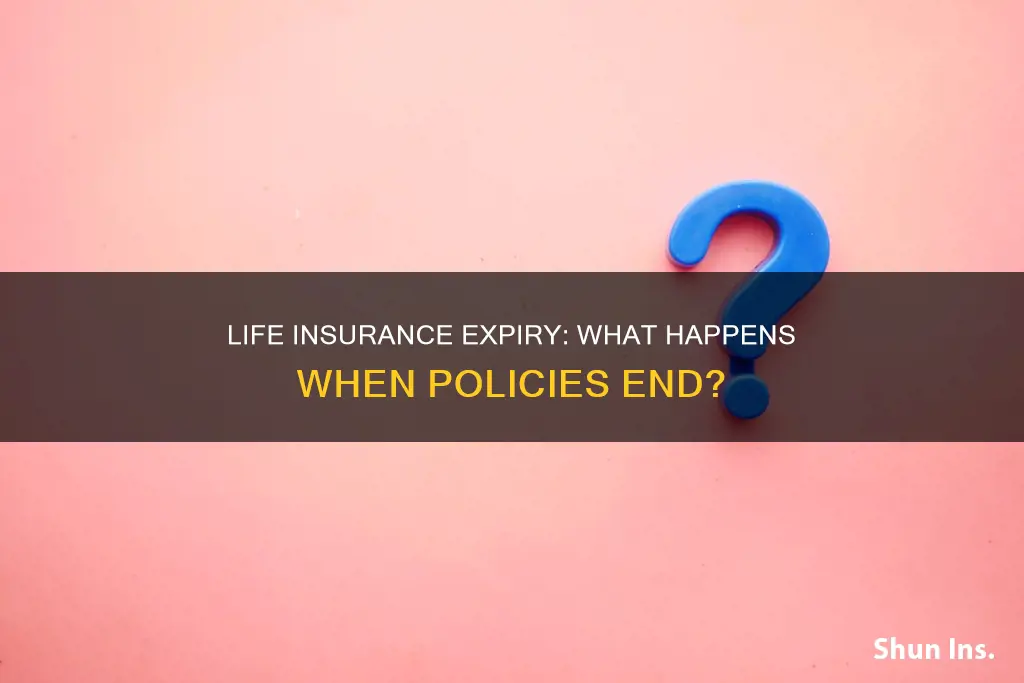 what happens when life insurance expires