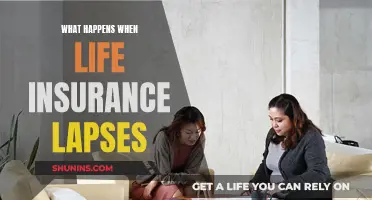 Life Insurance Lapse: Understanding the Risks and Consequences