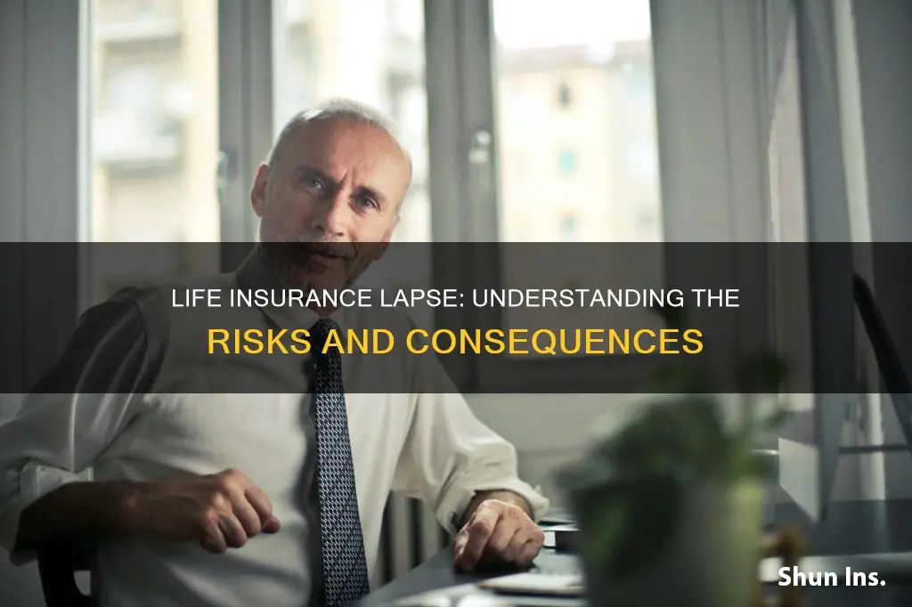 what happens when life insurance lapses