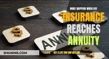 Life Insurance Annuity: What Happens When It Matures?