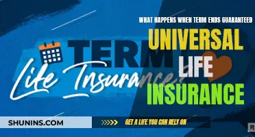 Universal Life Insurance: Term End, Now What?