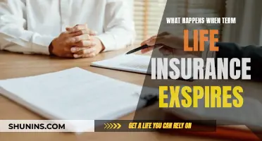 Life Insurance Expiry: What Happens When Term Ends?