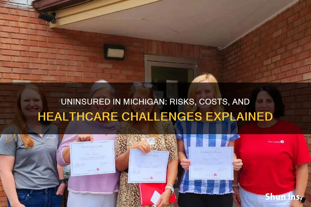 what happens when you dont have health insurance in michigan