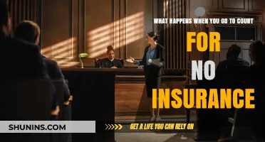 Facing Court: Driving Without Insurance