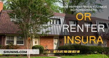 The Risks of Going Without Home Insurance