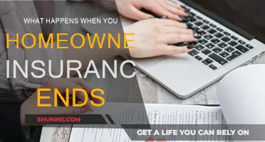 Homeowners Insurance: What to Do When It Ends