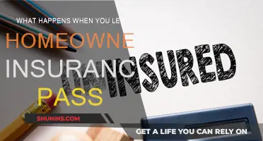 Home Insurance: Lapsed Policies and Their Consequences