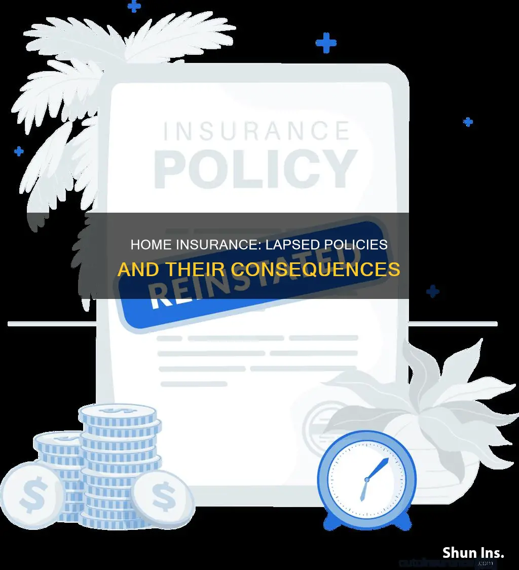 what happens when you let homeowners insurance pass