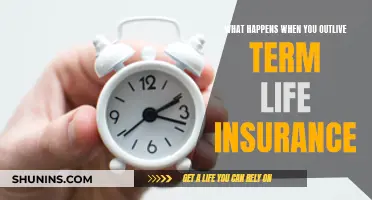 Term Life Insurance: Outliving and Navigating the Next Steps