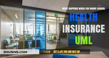 Waiving School Health Insurance at UML: Consequences and Considerations