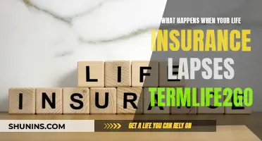 Life Insurance Lapse: What Happens and How to Avoid It