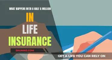 Life Insurance Payout: How to Secure Your Family's Future