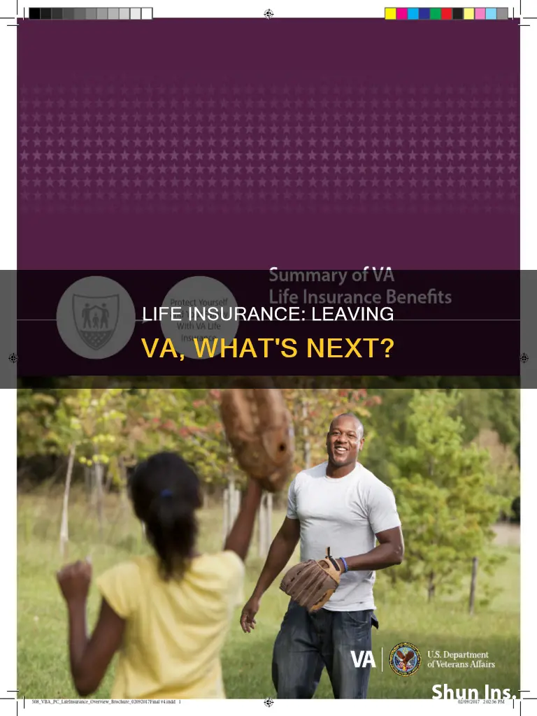 what happens with va life insurance after leaving the va