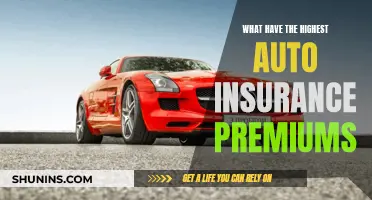 Auto Insurance Premiums: Who Pays the Most?