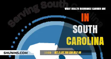 Top Health Insurance Carriers in South Carolina: A Comprehensive Guide