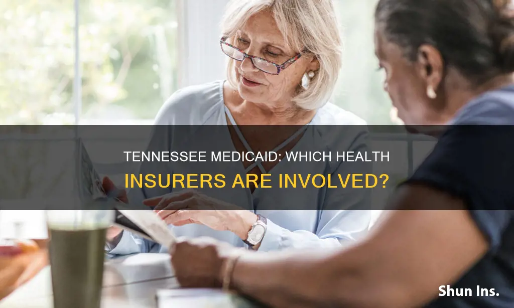 what health insurance company is used by tennessee medicaid