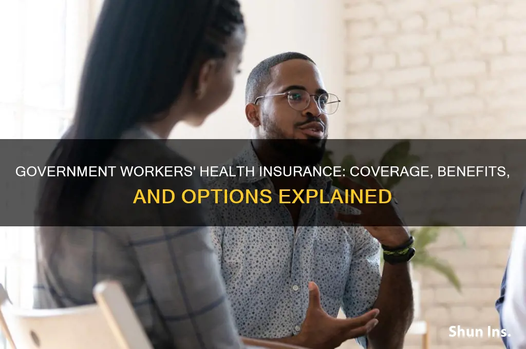what health insurance do government workers have