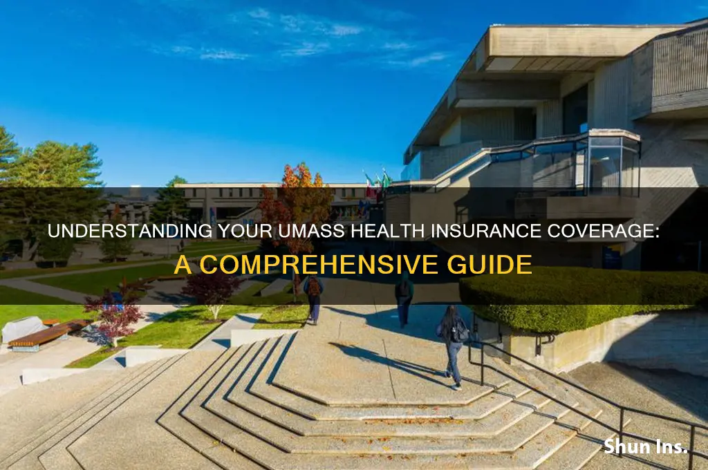 what health insurance do i have at umass