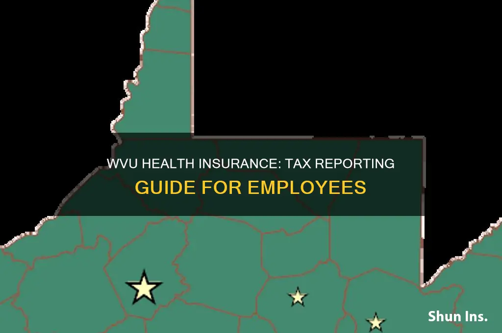 what health insurance do i place on taxes for wvuh
