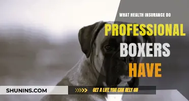 Professional Boxers' Health Insurance: Coverage, Costs, and Essential Benefits Explained