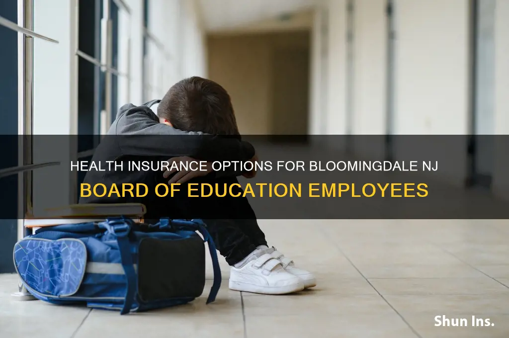 what health insurance does bloomingdale nj boe have