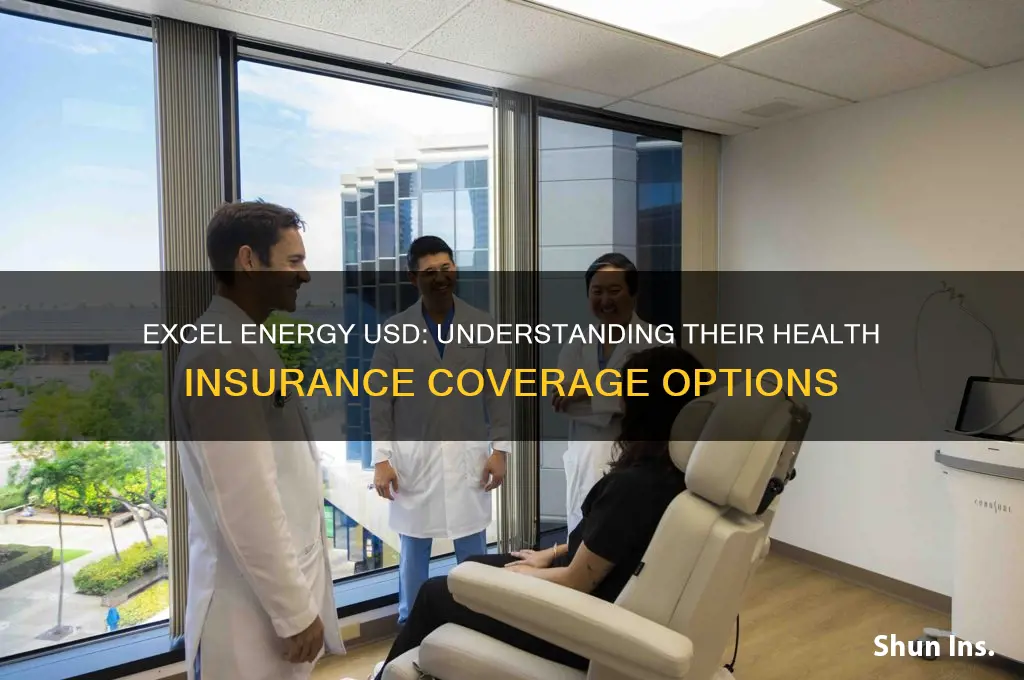what health insurance does excel energy usd