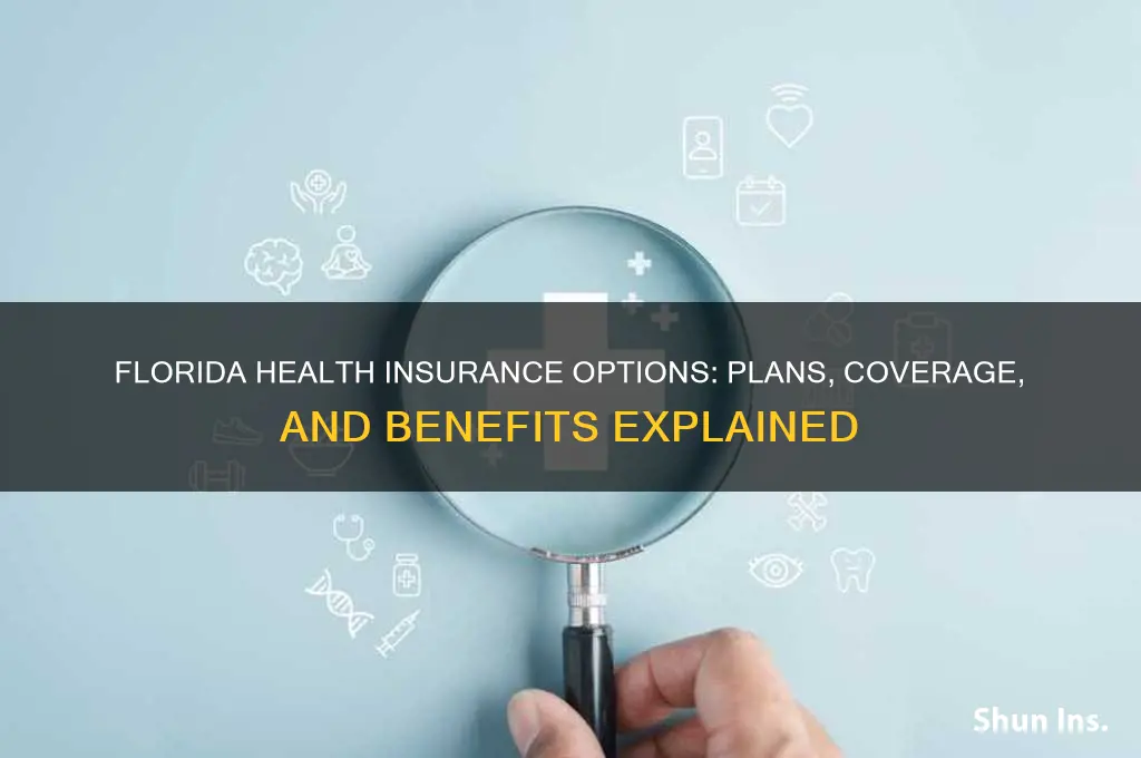 what health insurance does florida have