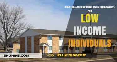 Indiana's Affordable Health Insurance Options for Low-Income Residents