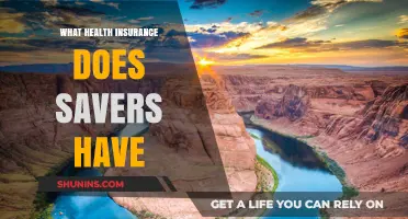 Exploring Savers' Health Insurance Options: Coverage, Benefits, and Employee Plans