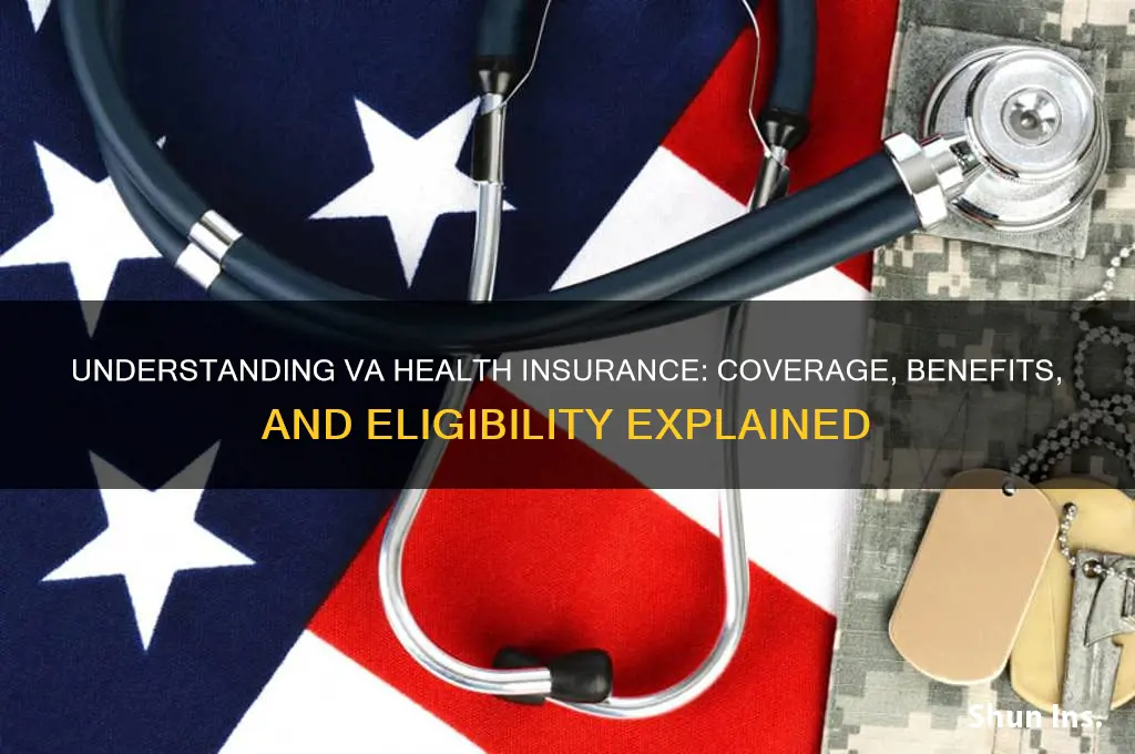 what health insurance does va have