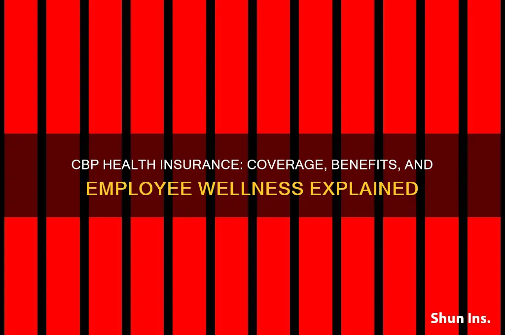 what health insurance doescthe cbp have