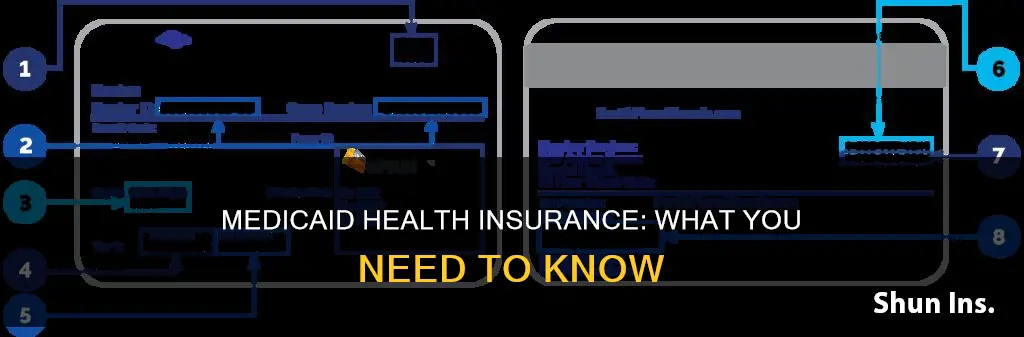 what health insurance goes through medicaid