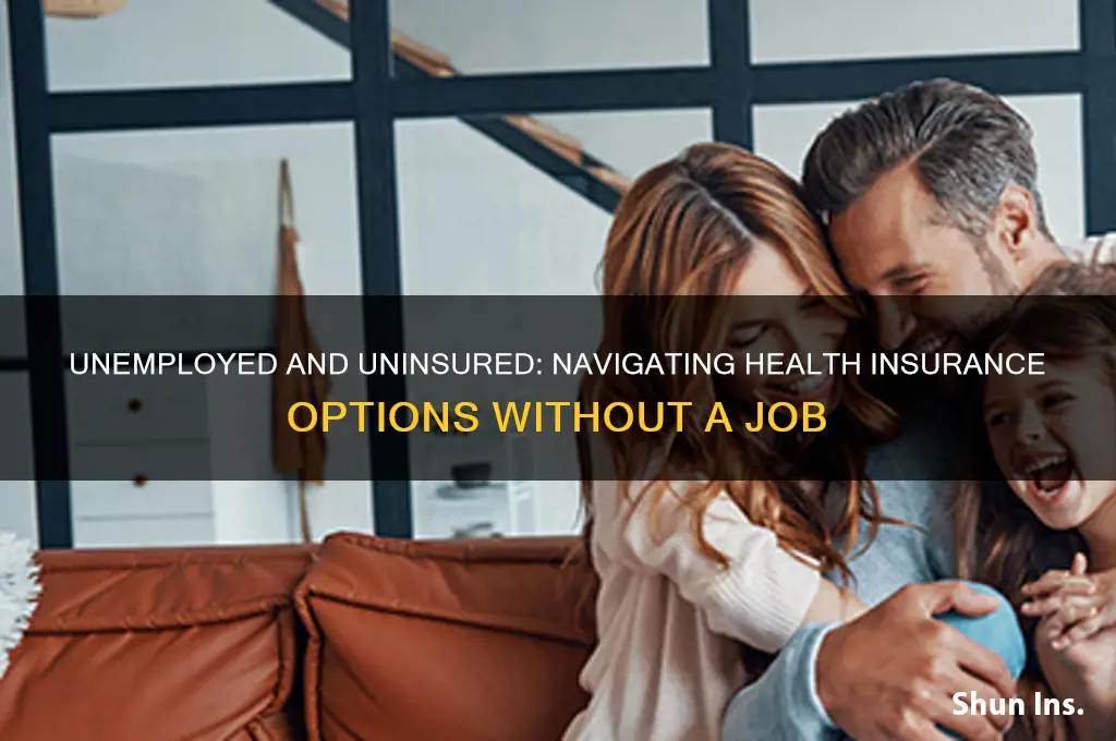 what health insurance if i am unemployed