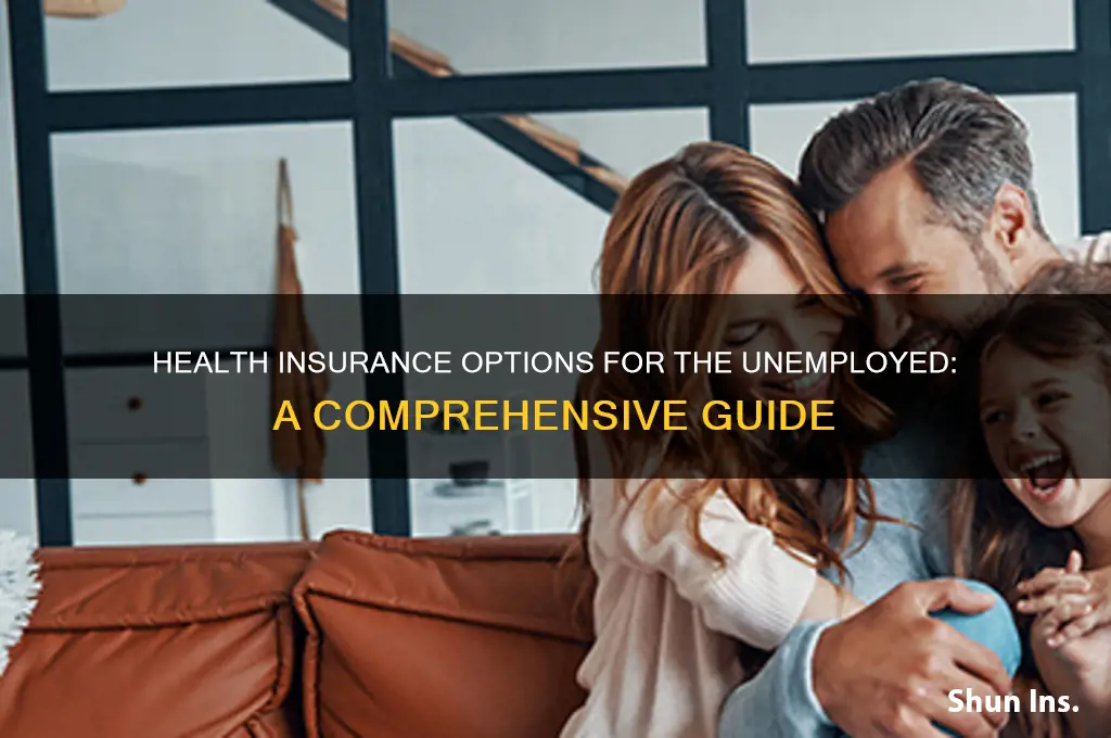 what health insurance if i am unemployeed