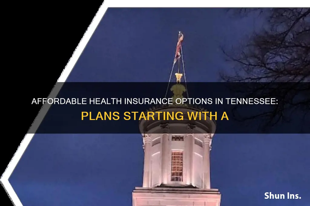 what health insurance in tennessee starts with the letter a