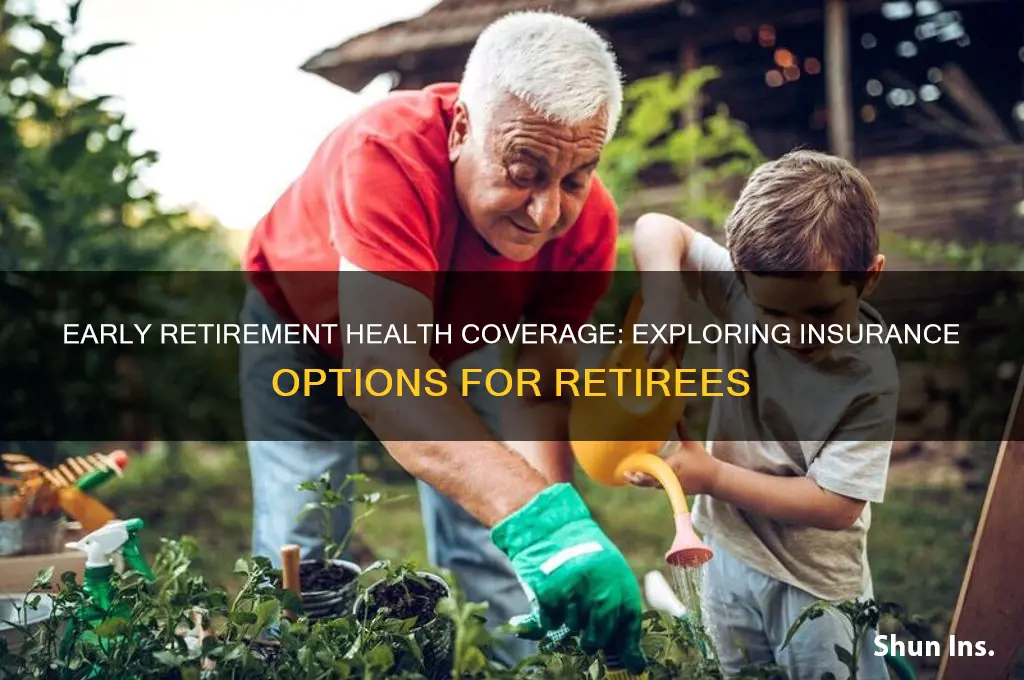 what health insurance is available for early retirees